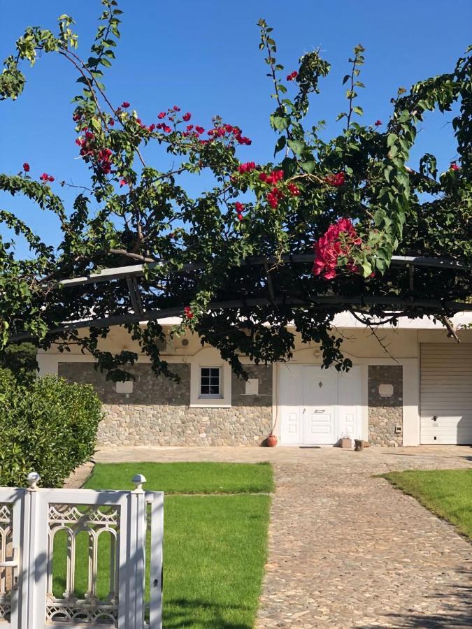 Villa Amalaya Flampouria Dış mekan fotoğraf