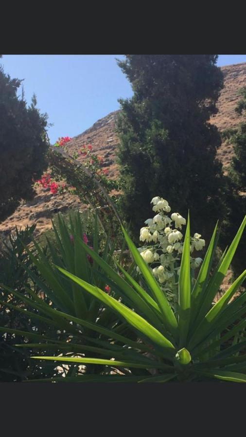 Villa Amalaya Flampouria Dış mekan fotoğraf